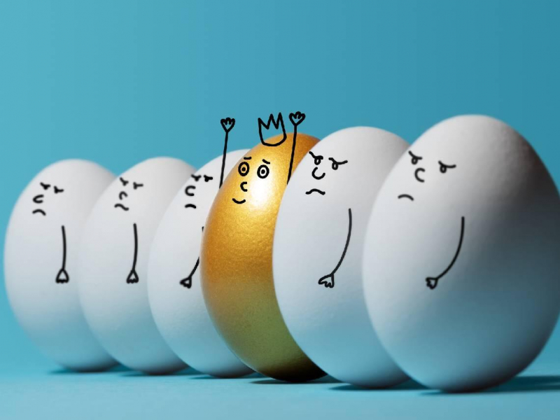 2025配息王誰出線？00878、00713、00915...高息ETF配息力比一比，殖利率9％up！這檔至少還能賺4年